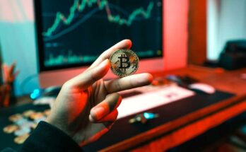 Cryptocurrency Investing for Beginners: Safe Strategies That Work
