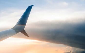 Top Travel Insurance Plans That Cover Everything in 2026